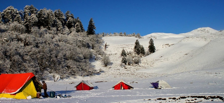 Camping in Dayara Bugyal