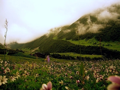 Chardham With Valley of Flower