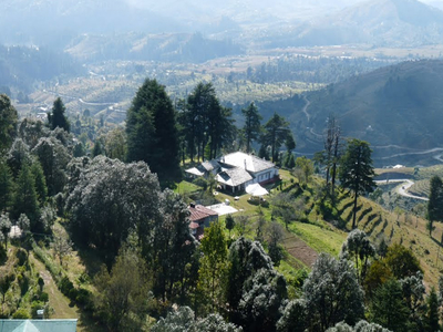 Abbott Mount