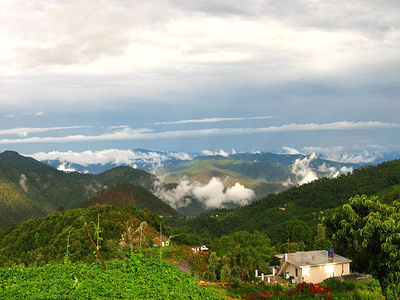 Almora