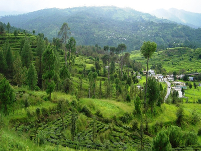 Gwaldam