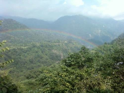 Jeolikot