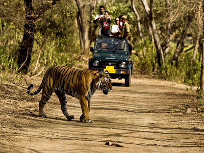 Corbett Safari Tour