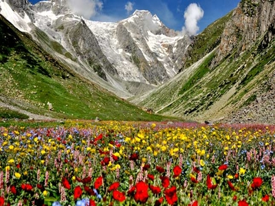 Valley of Flower Trek