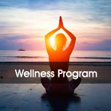 Wellness Programs