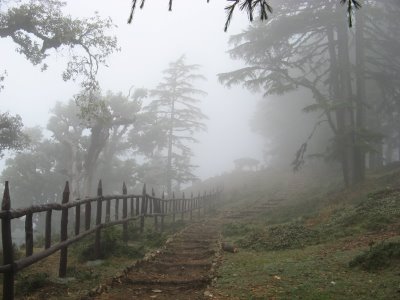 Pictursque Mussoorie with Dhanaulti
